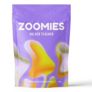 Golden Teacher | Powerful Magic Mushrooms Canada