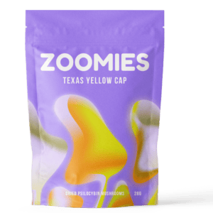 Texas Yellow Cap | Powerful Magic Mushrooms Canada