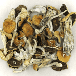Full Moon Party | Powerful Magic Mushrooms Canada