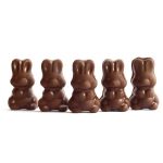 Alice - Mushroom Milk Chocolate - 2.5g | Powerful Magic Mushrooms Canada