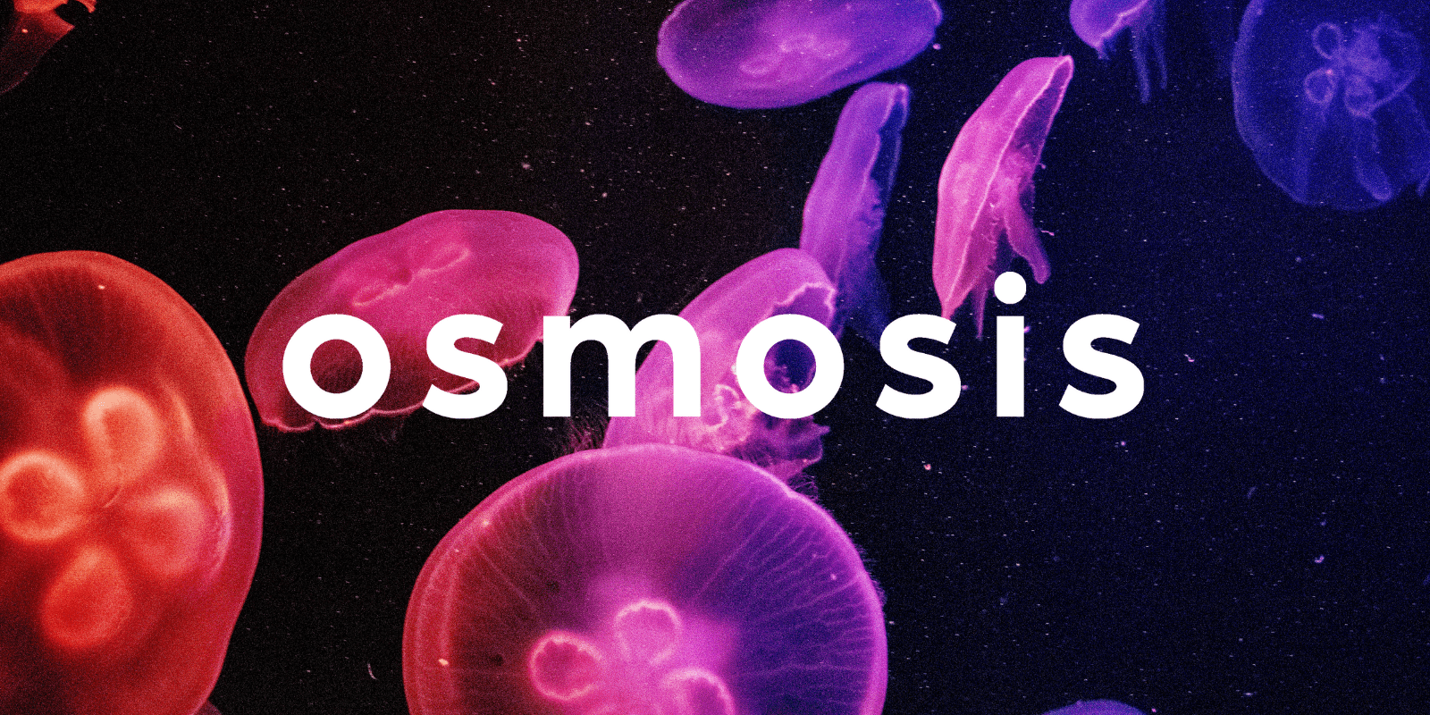 Zoomies osmosis banner | Powerful Magic Mushrooms Canada