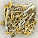 Trinity | Powerful Magic Mushrooms Canada