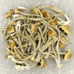 Hautla | Powerful Magic Mushrooms Canada