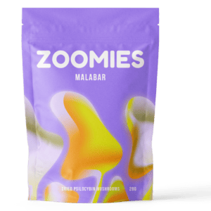 Malabar Coast | Powerful Magic Mushrooms Canada