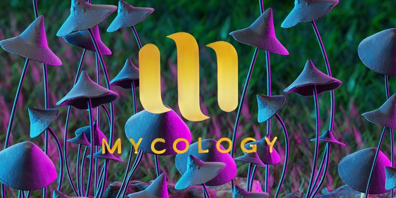 Zoomies Summer 2023 Banner - Mycology | Powerful Magic Mushrooms Canada