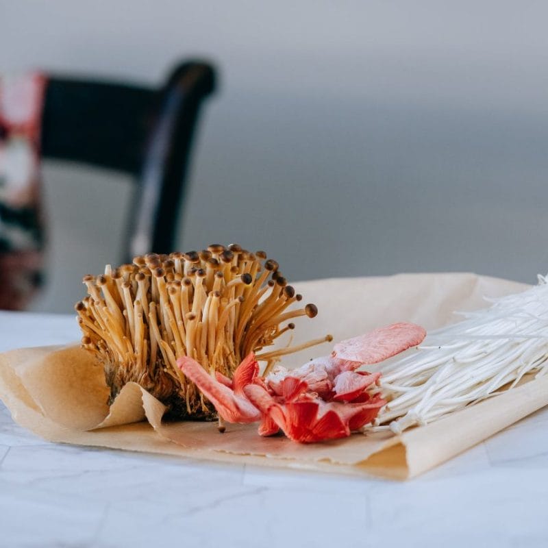Buy Shrooms Online Canada (1) | Powerful Magic Mushrooms Canada